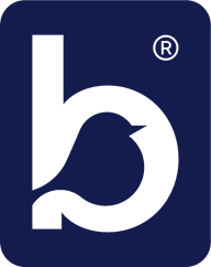 BBC icon 