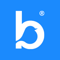 BBC team icon