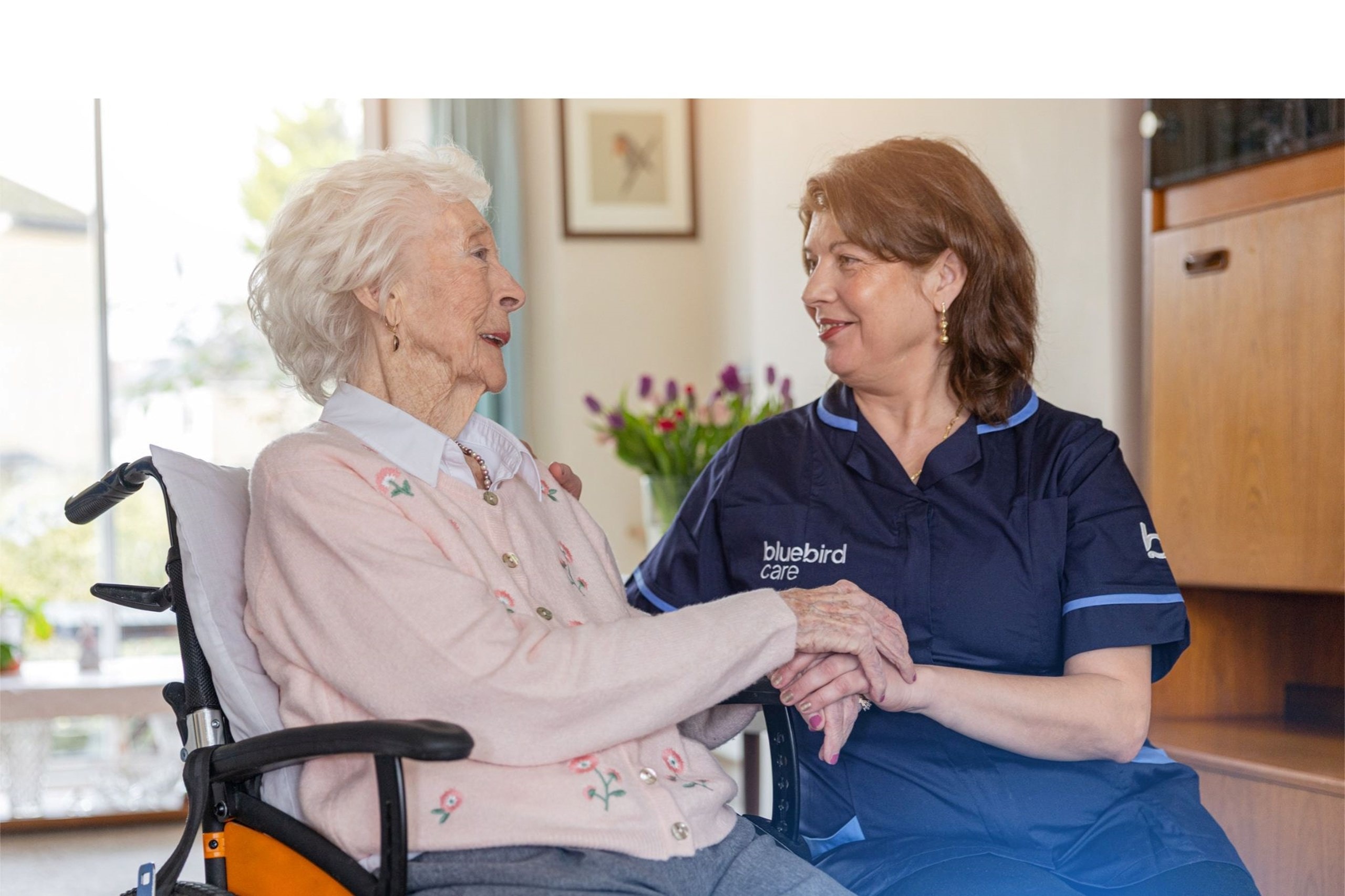 Bluepid Why Families Choose Bluebird Care Reigate: The Value of Five-Star ...