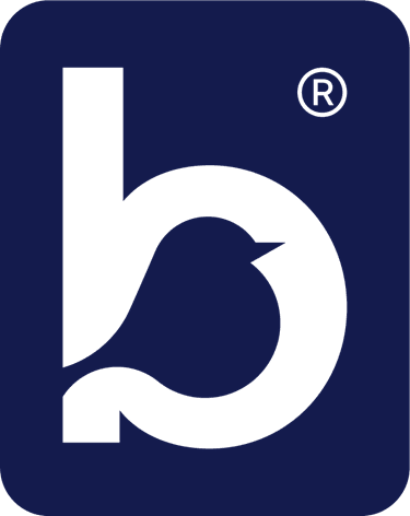 BBC icon