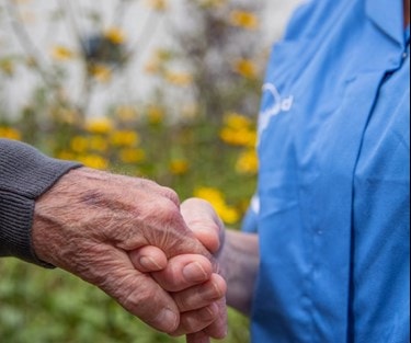 Hands
