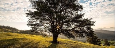 Countryside near Great Wyrley, Cannock in Staffordshire