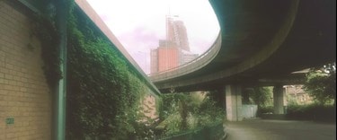 Shepherd’s bush local area