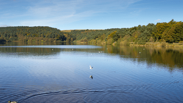 Ogden Water