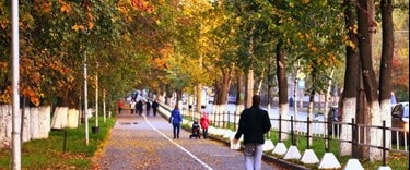 Autumn Street Park