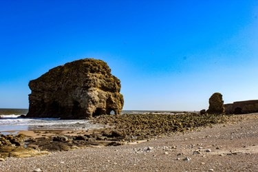 south tyneside stock