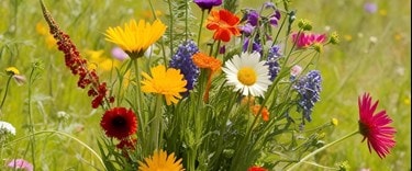 Neals Nursery Hero