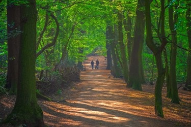 Compassionate care tailored to families in Hampstead