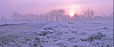 Winter scene hero