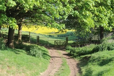 Cotswold