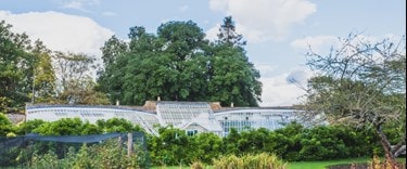 Parsons Greenhouse in garden near Bishops Park, Fulham, London, UK.