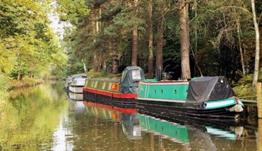 Basingstoke Canal