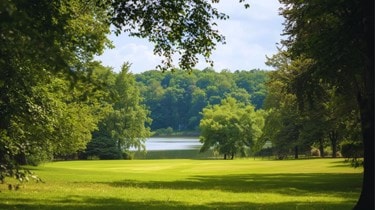 Shirley Park - Local Areas Page