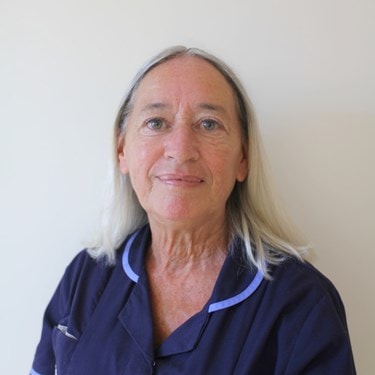 Julie Scribbins