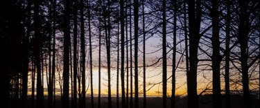 Cannock Chase Countryside, located in Cannock