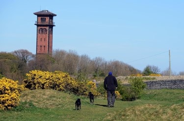 south tyneside 3