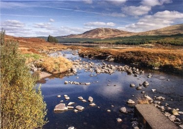 ayrshire