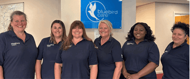 Meet the team