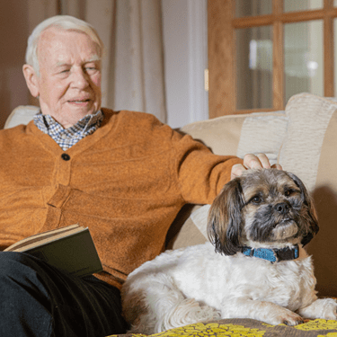 Pets in Home Care
