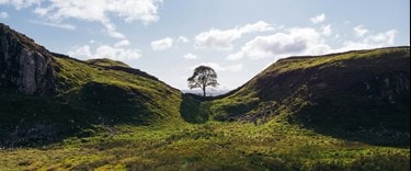 Sycamore Gap