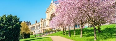 Compassionate care tailored to families in Alexandra Park