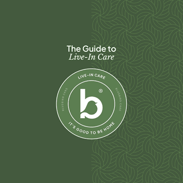 live in care guide