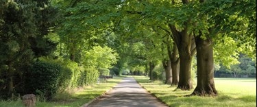 Park in UK