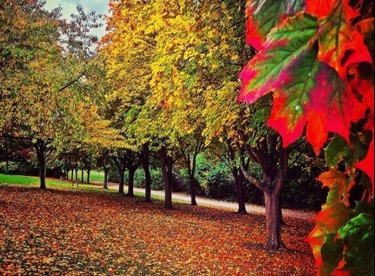 Image of Fairlands Park Stevenage for Local Insights Stevenage Hitchin Letchworth and Royston