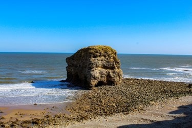 south tyneside stock