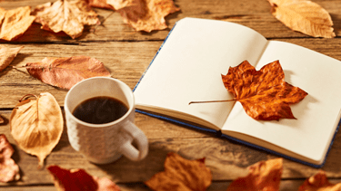 Autumn recipes