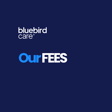 Our fees graphic