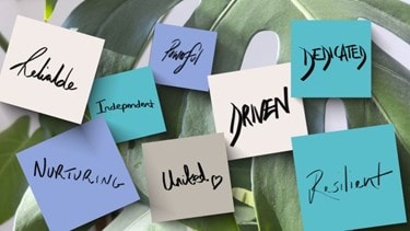 Words to represent of the women of Bluebird