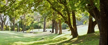 Walking path in the heathland of Wimbledon Common, London