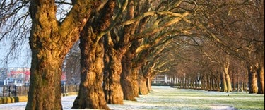 Wandsworth park after the snow UK