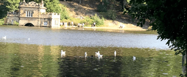 Home Care in Wakefield