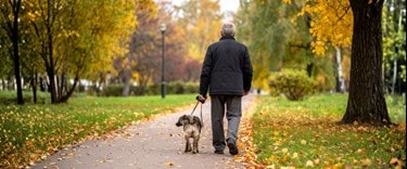 Elderly man walking with his pet dog in the park