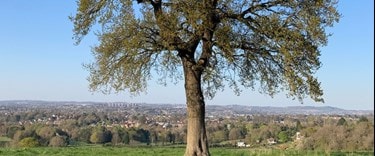 Brierley Hill Hero