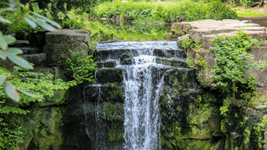 Jesmond Dene