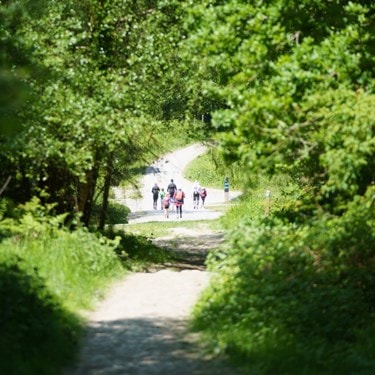 Image of walkers in Salcey Forest