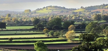 Image of South Somerset
