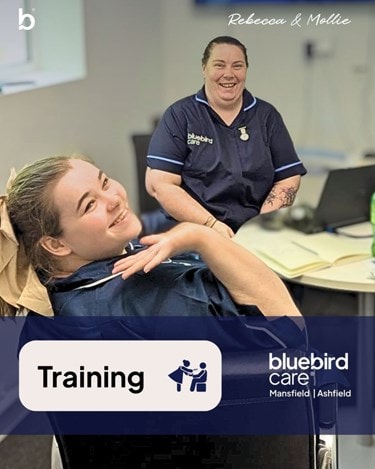 trianing of mollie new carer