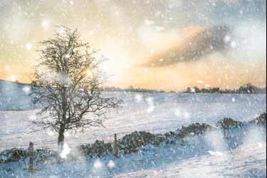 Winter Sheffield