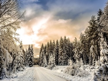 winter image - dj haswell