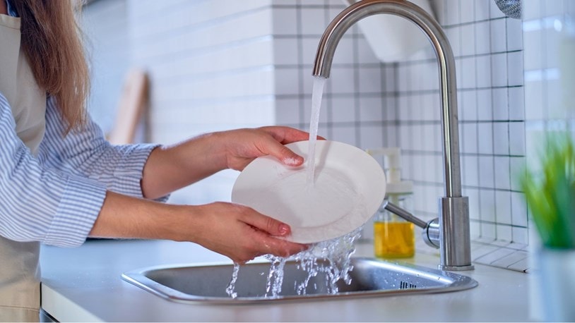 A lady cleaning a plate for an elderly 