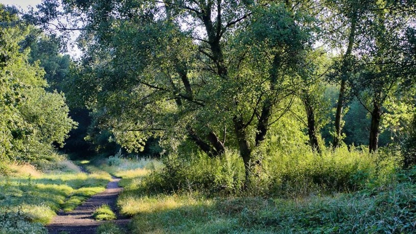 Wandsworth commons walk path UK