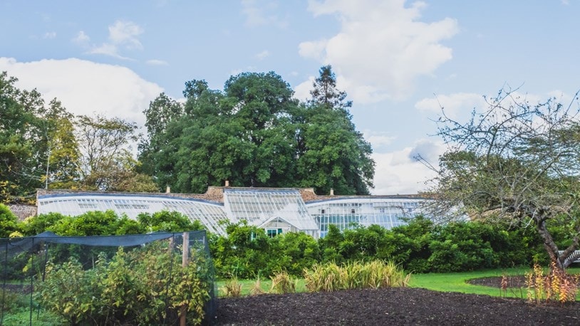Parsons Greenhouse in garden near Bishops Park, Fulham