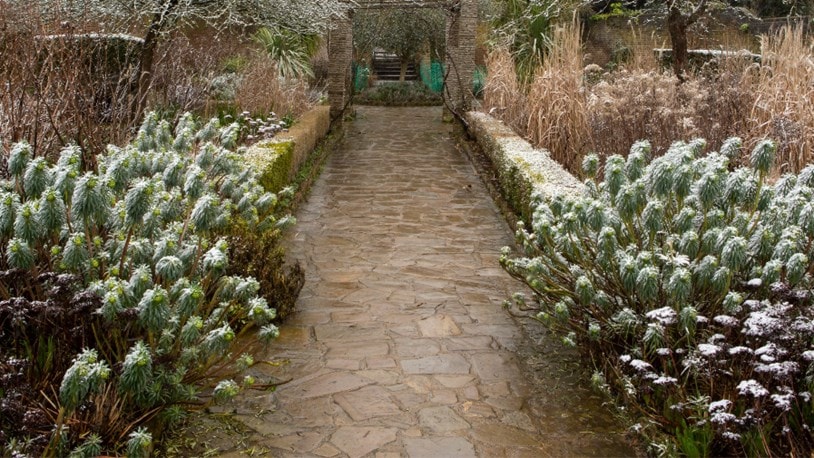 The Rookery in Streatham