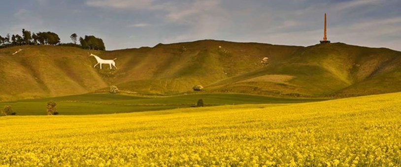 White Horse in Wiltshire South