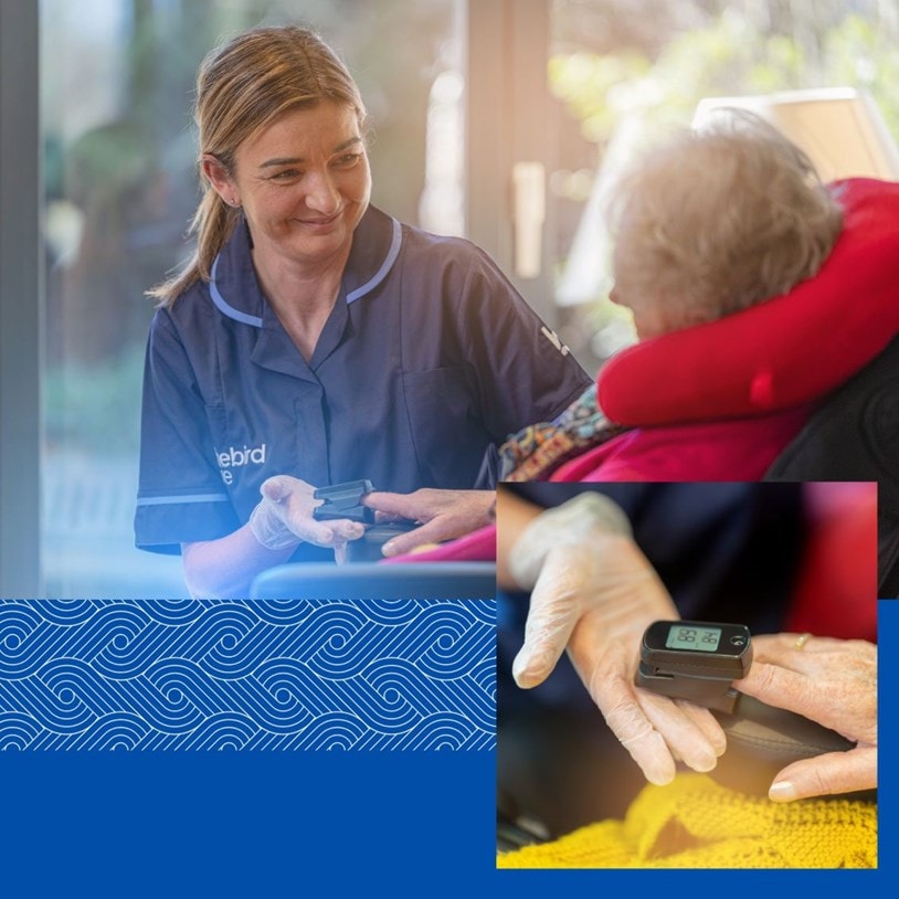 Bluebird Care health and wellbeing assessments