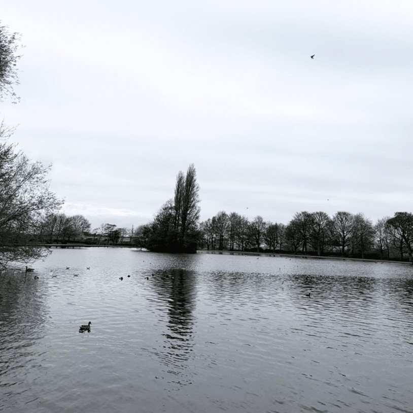 Pontefract Park, Park Road, Pontefract